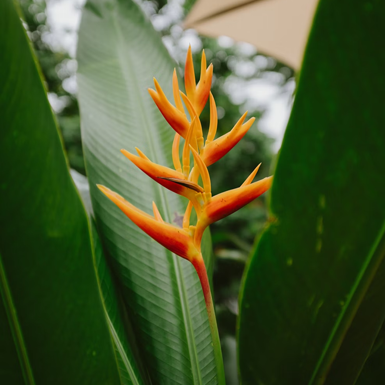Portfolio Image Gallery 1